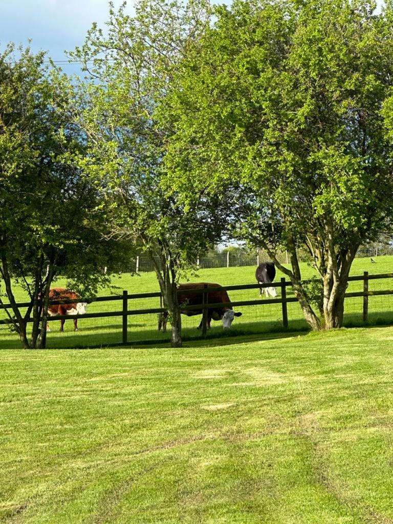Acorn Cottage Ross-on-Wye ภายนอก รูปภาพ