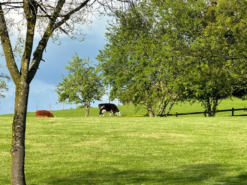 Acorn Cottage Ross-on-Wye ภายนอก รูปภาพ